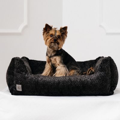 Pet accessories - AMORE DOG BED - PET EMPIRE