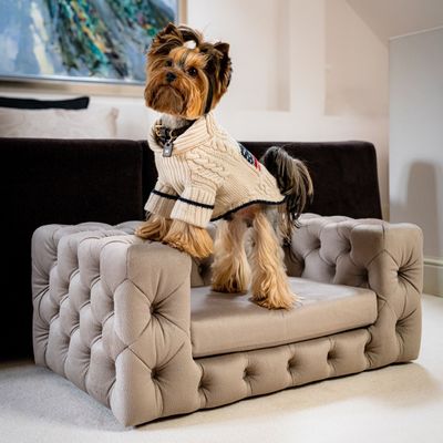 Pet accessories - GLAMOUR High end Dog Sofa - PET EMPIRE