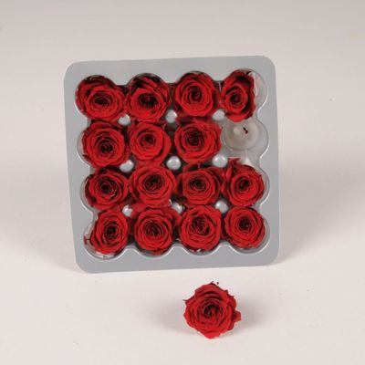 Floral decoration - Box of 16 dark red stabilized mini roses - LE COMPTOIR.COM