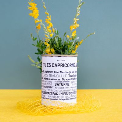 Gifts - Sowing kits\" Capricorn\” in collaboration with\ "Tout est dit\" - MAUVAISES GRAINES