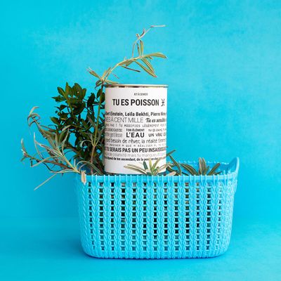 Cadeaux - Kits à semer "Poisson" en collab avec "Tout est Dit" - MAUVAISES GRAINES