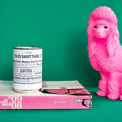 Cadeaux - Kits à semer "Sagittaire" en collab avec "Tout est Dit" - MAUVAISES GRAINES