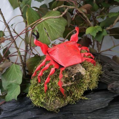 Accessoires de déco extérieure - Sculpture Cannette Recyclé Crabe 13cm - TERRE SAUVAGE