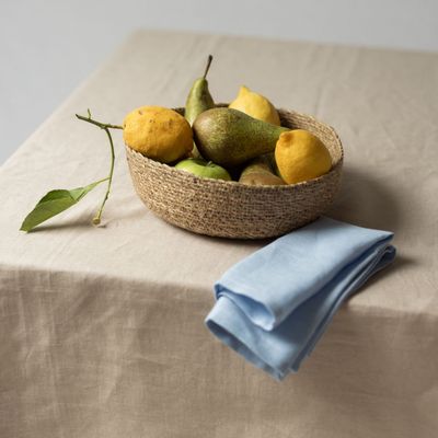 Linge de table textile - Serviettes bleues (lot de 2) - OURY HOME