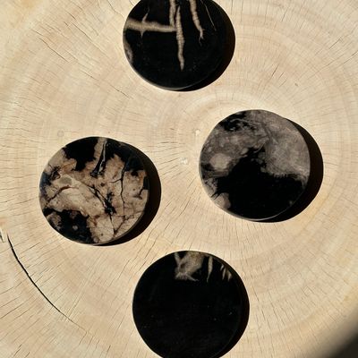 Table mat - Set of 4 fossilized wood coasters (wide, 2 thick, 2 thin) - OFFICE OBJETS