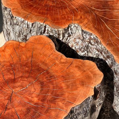 Coffee tables - Duo of lychee stools forming a coffee table - OFFICE OBJETS