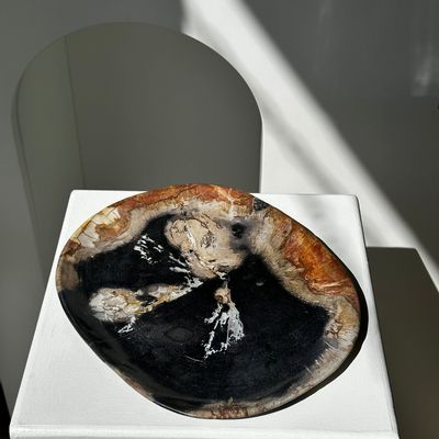 Plats et saladiers - Grand vide poche ou plat en bois pétrifié - OFFICE OBJETS