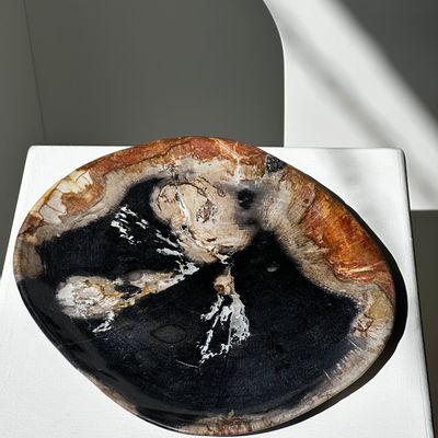 Platter and bowls - Large pocket or dish in petrified wood - OFFICE OBJETS