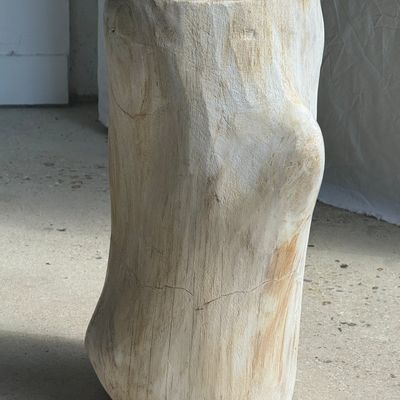 Other tables - Large white petrified wood side table with organic knot H:50 D:22-25 - OFFICE OBJETS