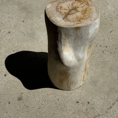 Other tables - Large white petrified wood side table with organic knot H:50 D:22-25 - OFFICE OBJETS