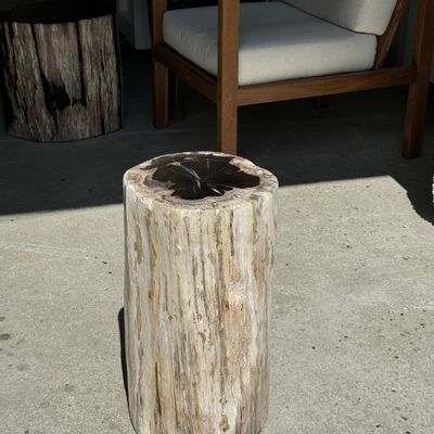 Autres tables  - Grande table d'appoint en bois pétrifié écorce blanche cœur noir H:47 D:23-5 - OFFICE OBJETS