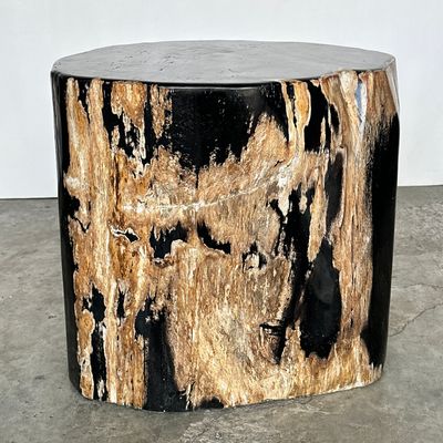 Other tables - Large petrified wood side table, organic shape, predominantly black H:40 D:34-42 - OFFICE OBJETS