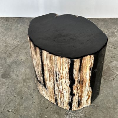 Autres tables  - Grande table d'appoint en bois pétrifié forme organique à dominante noire H:40 D:34-42 - OFFICE OBJETS