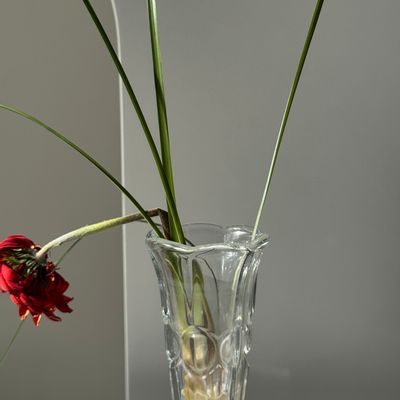 Vases - Small classic soliflore glass vase H16 - OFFICE OBJETS