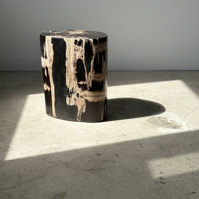 Autres tables  - Table d'appoint en bois pétrifié - OFFICE OBJETS