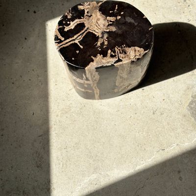 Other tables - Petrified wood side table - OFFICE OBJETS