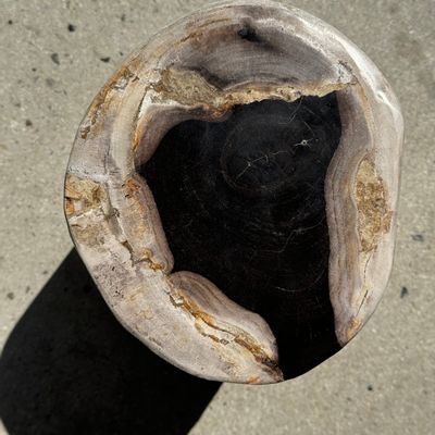 Autres tables  - Table d'appoint en bois pétrifié blanc cœur noir H41 D21-24 - OFFICE OBJETS