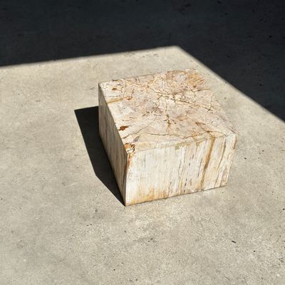 Other tables - White petrified wood side table H:25 L:37 - OFFICE OBJETS