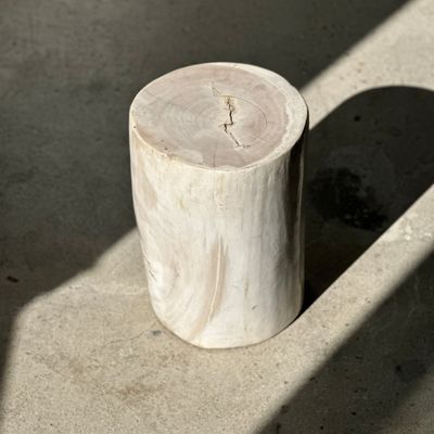 Other tables - White petrified wood side table H:34.5 D:24 - OFFICE OBJETS