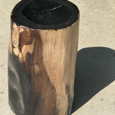 Other tables - Petrified wood side table black heart bark cappuccino H40 D23 - OFFICE OBJETS