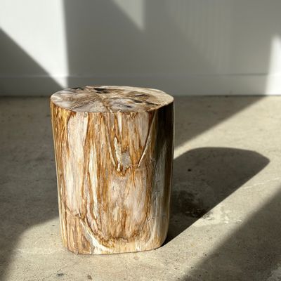 Other tables - Side table in multicolored petrified wood, predominantly light H:36cm D:25cm - OFFICE OBJETS