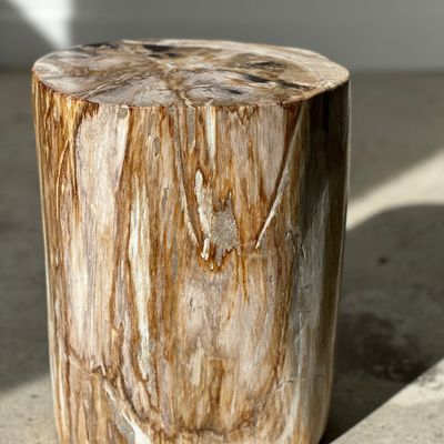 Autres tables  - Table d'appoint en bois pétrifié multicolore à dominante claire H:36cm D:25cm - OFFICE OBJETS