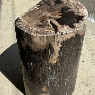 Other tables - Brown multicolor organic petrified wood side table H:39 D:21-26 - OFFICE OBJETS