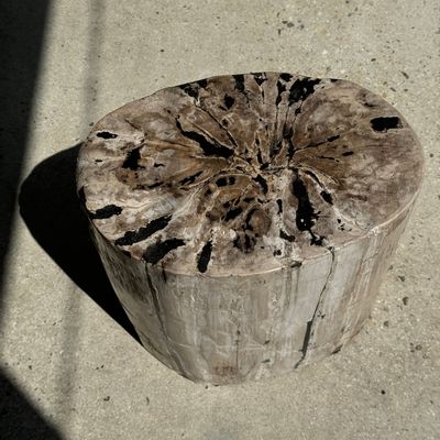 Autres tables  - Table d'appoint en bois pétrifié ovale blanche stries noires H:45,5 D:20 - OFFICE OBJETS