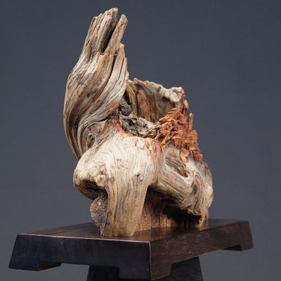 Unique pieces - Wood Flame - Landscape Sculpture - MÙ STUDIO