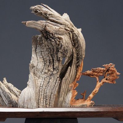 Unique pieces - Gravity - Wood Sculpture - MÙ STUDIO