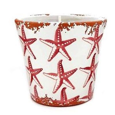 Decorative objects - Ceraminc starfish scented candle size L - WAX DESIGN - BARCELONA