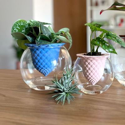 Vases - PIANO B Self Watering Pot with Glass - COMMON PLACE