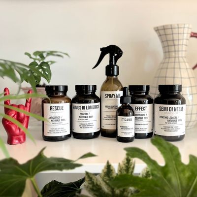 Cosmétiques - KIT SALVO plants beauty care - COMMON PLACE