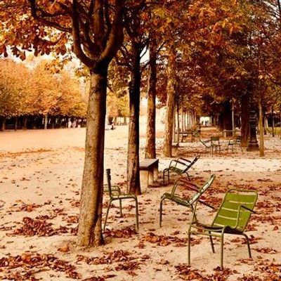 Art photos - Fine art photography - Paris - "Jardin des Tuileries" n° 6 - JOLI JOUR PARIS