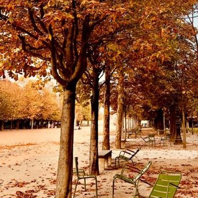 Art photos - Fine art photography - Paris - "Jardin des Tuileries" n° 6 - JOLI JOUR PARIS