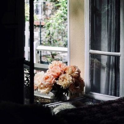 Art photos - Fine art photography - Les Bouquets n°11 - JOLI JOUR PARIS