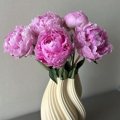 Vases - Vase "Crème glacée chaude" - AURA 3D