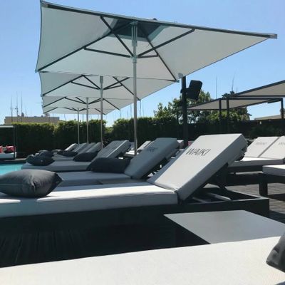 Sunshades - PRO UMBRELLAS - MOUSSES ETOILES