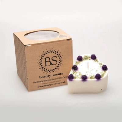 Bougies - Petites bougies parfumées à la mûre, boîte de 6, cassis - BEAUTY SCENTS CANDLES