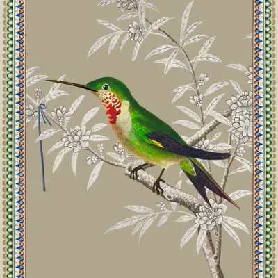 Affiches - Illustration Colibri Améthyste - PARADISIO IMAGINARIUM