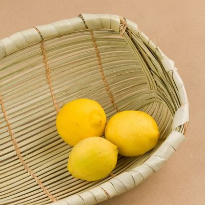 Objets de décoration - Corbeille Palmier - BAAN