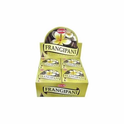 Scents - Hem incense frangipani cones - ARABESK