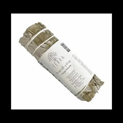 Senteurs - Sauge blanche & Eucalyptus fagot 25-30g 10cm - ARABESK