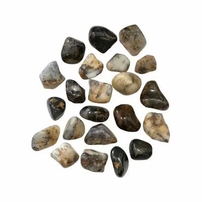Jewelry - Black Dentrite Opal Tumbled stones 3-2cm 250g - ARABESK