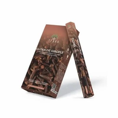 Scents - Terra clove hexa incense without charcoal 30grs - ARABESK