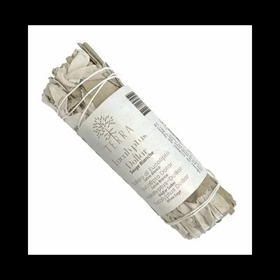 Scents - White Sage & Eucalyptus Dollar Bundle 25-30g 10cm - ARABESK