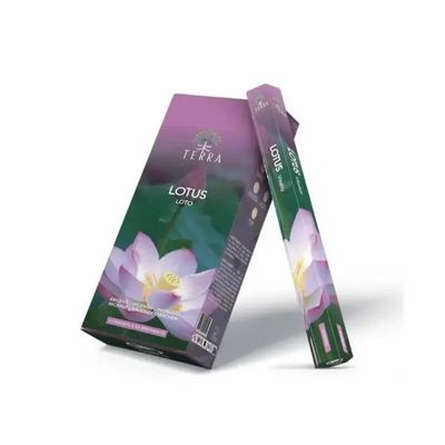 Scents - Terra Lotus hexa incense without charcoal 30grs - ARABESK