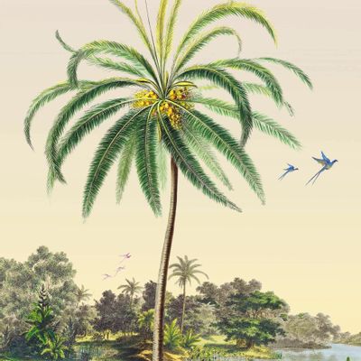 Poster - Coconut Tree Illustration - PARADISIO IMAGINARIUM