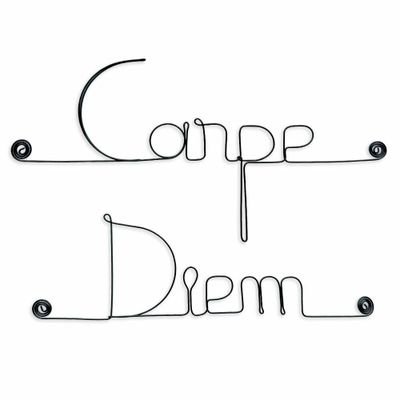 Other wall decoration - Wire wall decoration " Carpe Diem ” - to pin - BIJOUX DE MUR