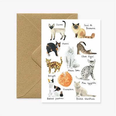 Carterie - Carte "Chats" - MARINA VANDEL